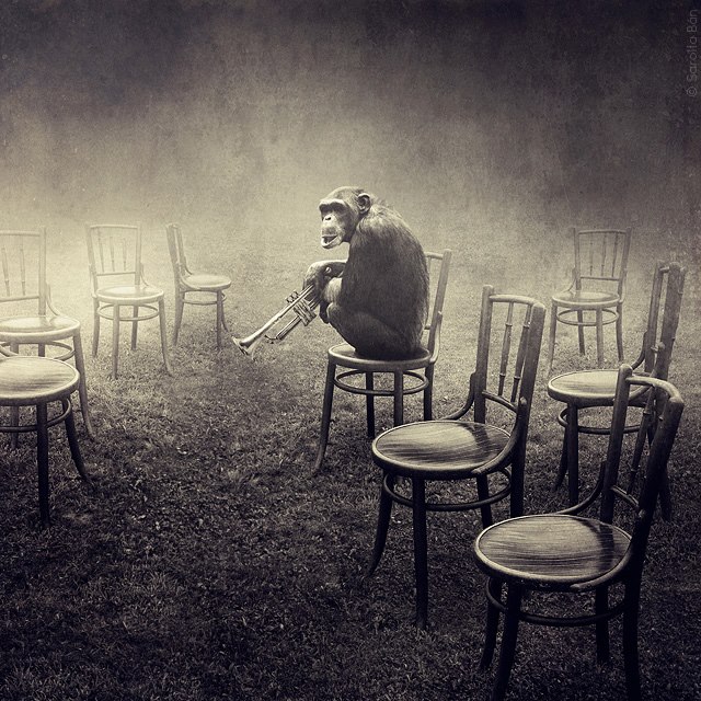 ������ ������