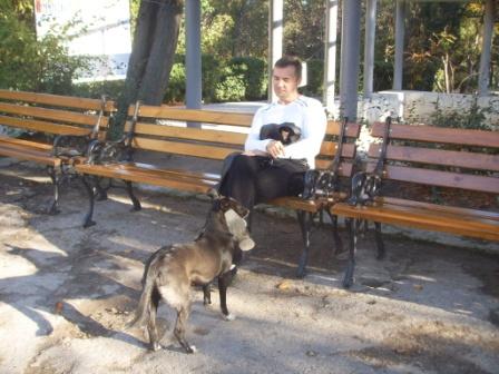 ���� ��������