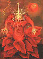 Ночная Красавица