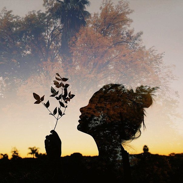 ���� �����