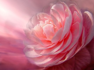 ���� �����