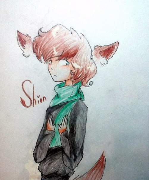 �������� ����