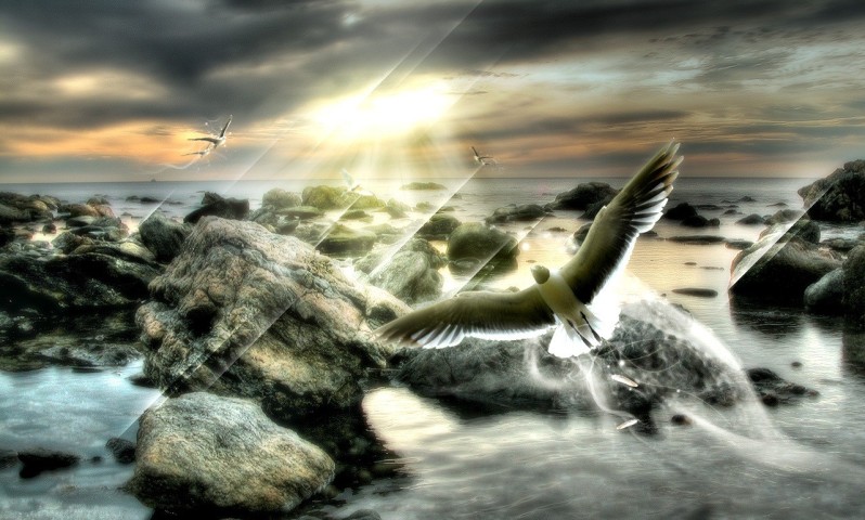 ����� ��������