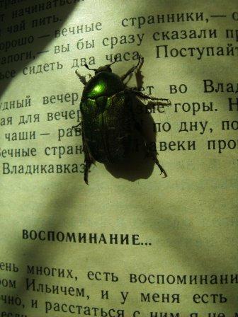 Сергей Бабин 2