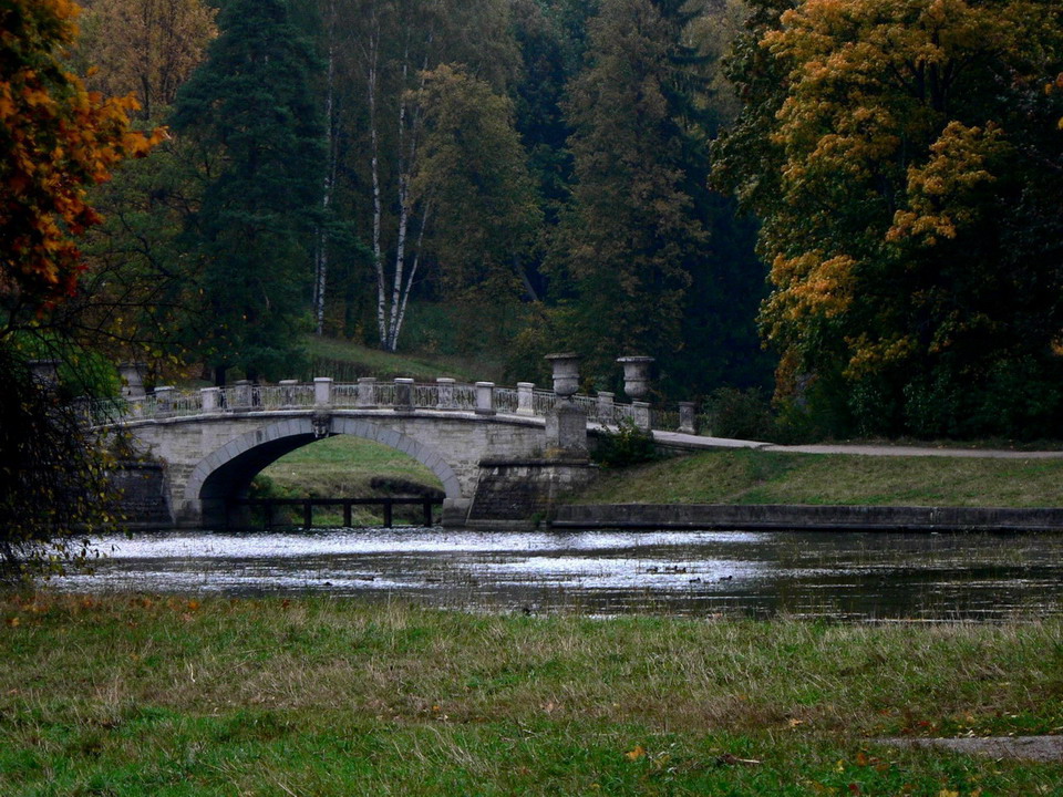 ���� ����