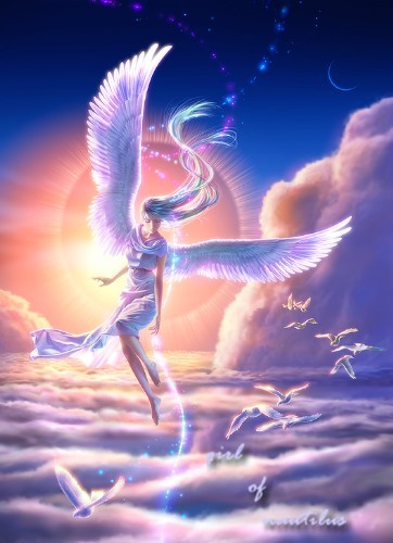 �������