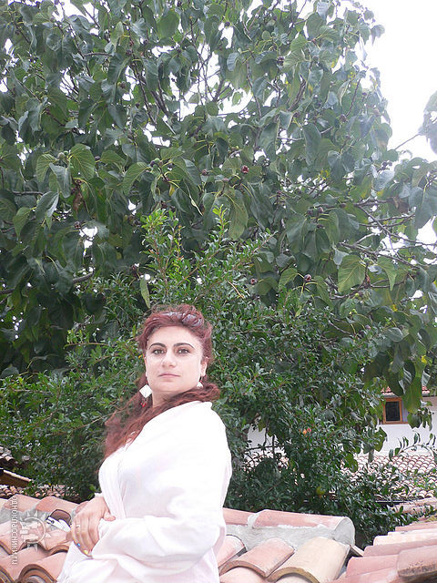 ������� ��������