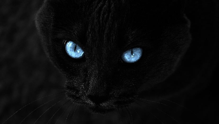 ������� ���