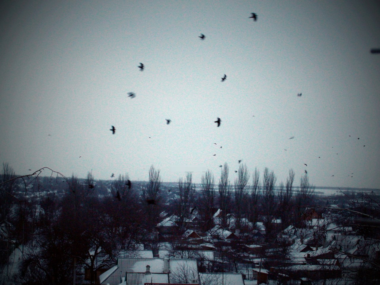 ������ �����