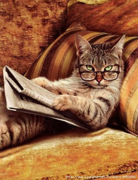 Наталья Важенкова