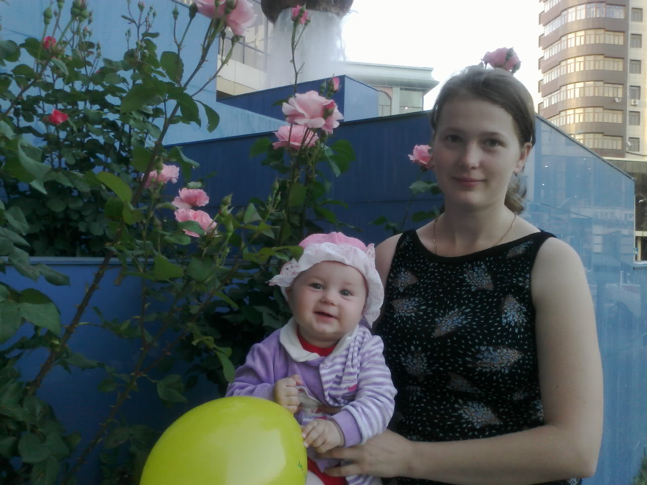 ���� ��������