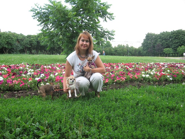 ������ ���������