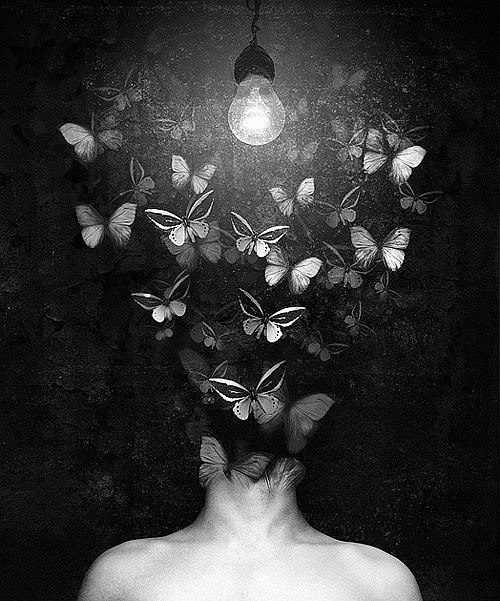 ������������