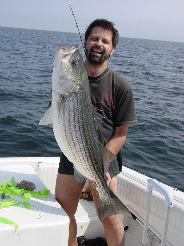 ����� �������