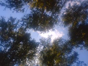 ����� ��������