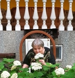 �������� ��������