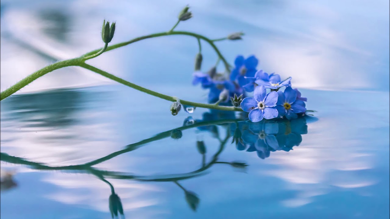 Анастасия Красноярская