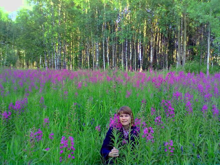 ����� �������� 7