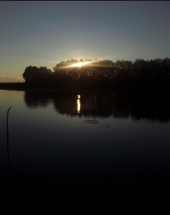 Максим Косенко