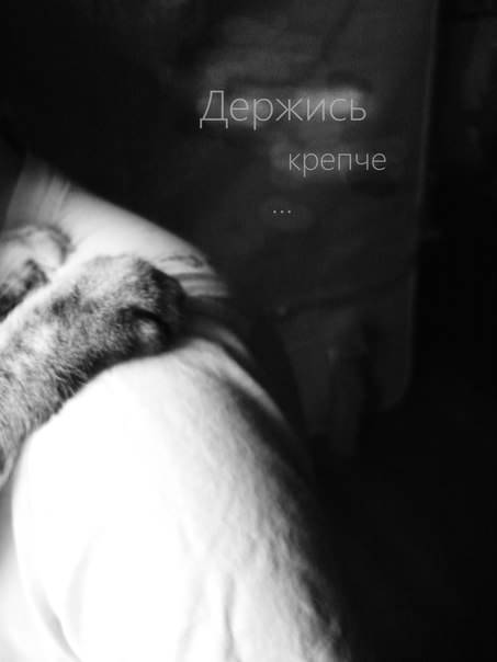 Кравченко Дмитрий
