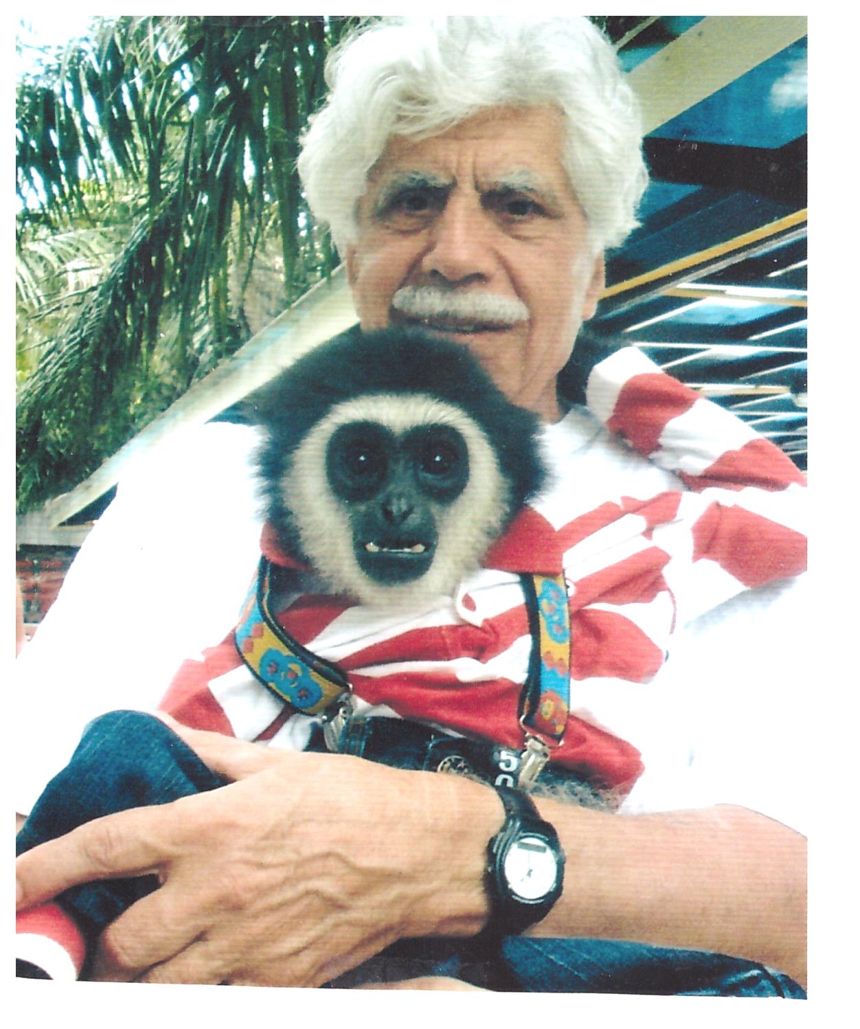 ���� ����-������