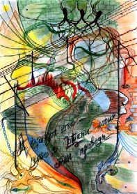 ��������