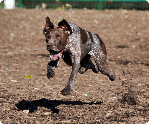 ������� ������