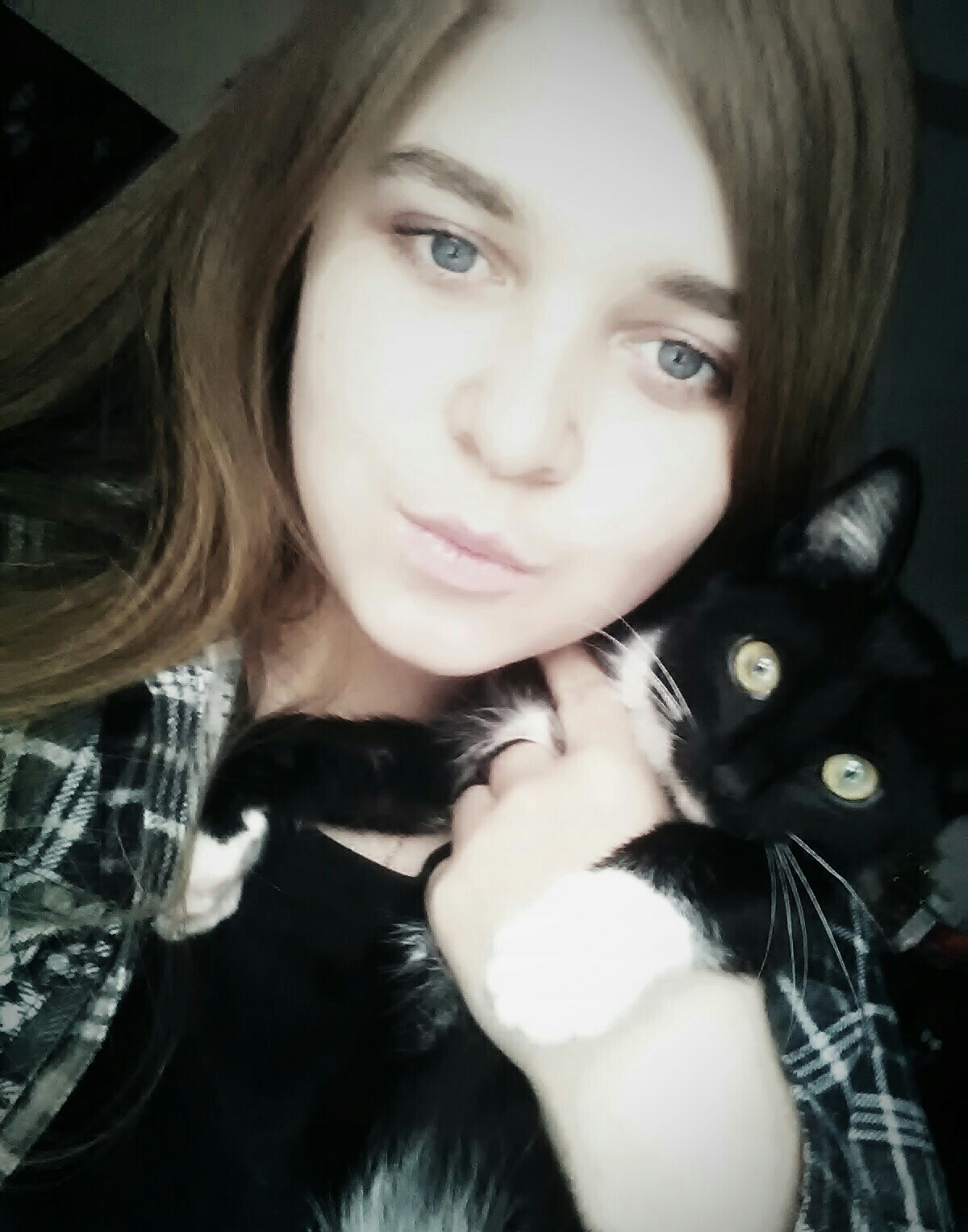 ������� ��������