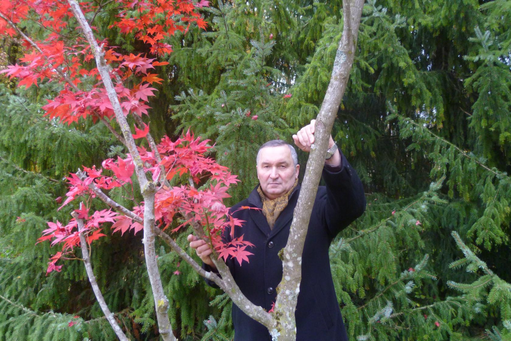 �������� �������� ��������