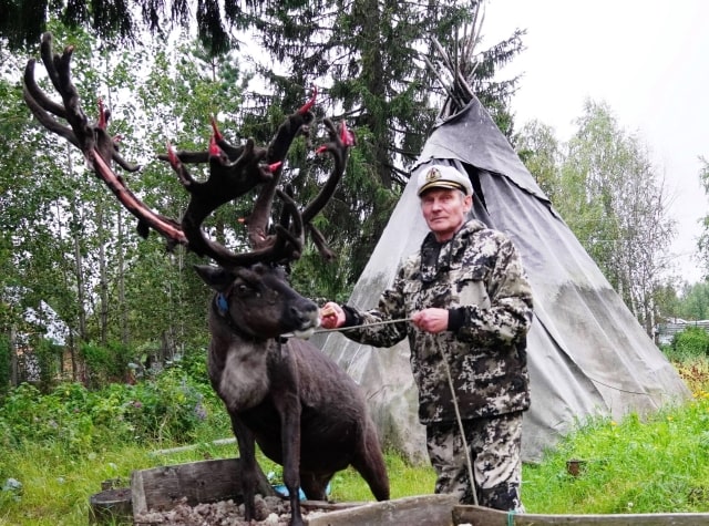 �������� ���������