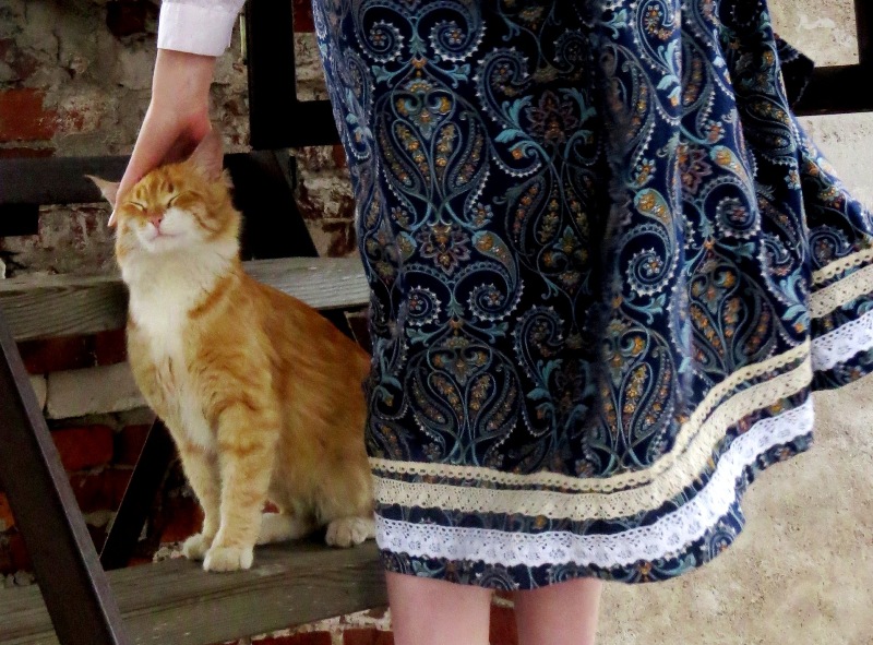 ���� ����