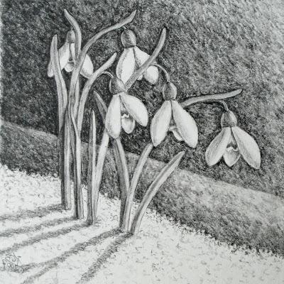 Светлана Теньковская