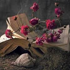 ��� �����