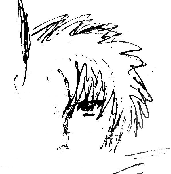 ���� ������