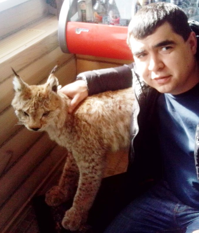 �������� �������