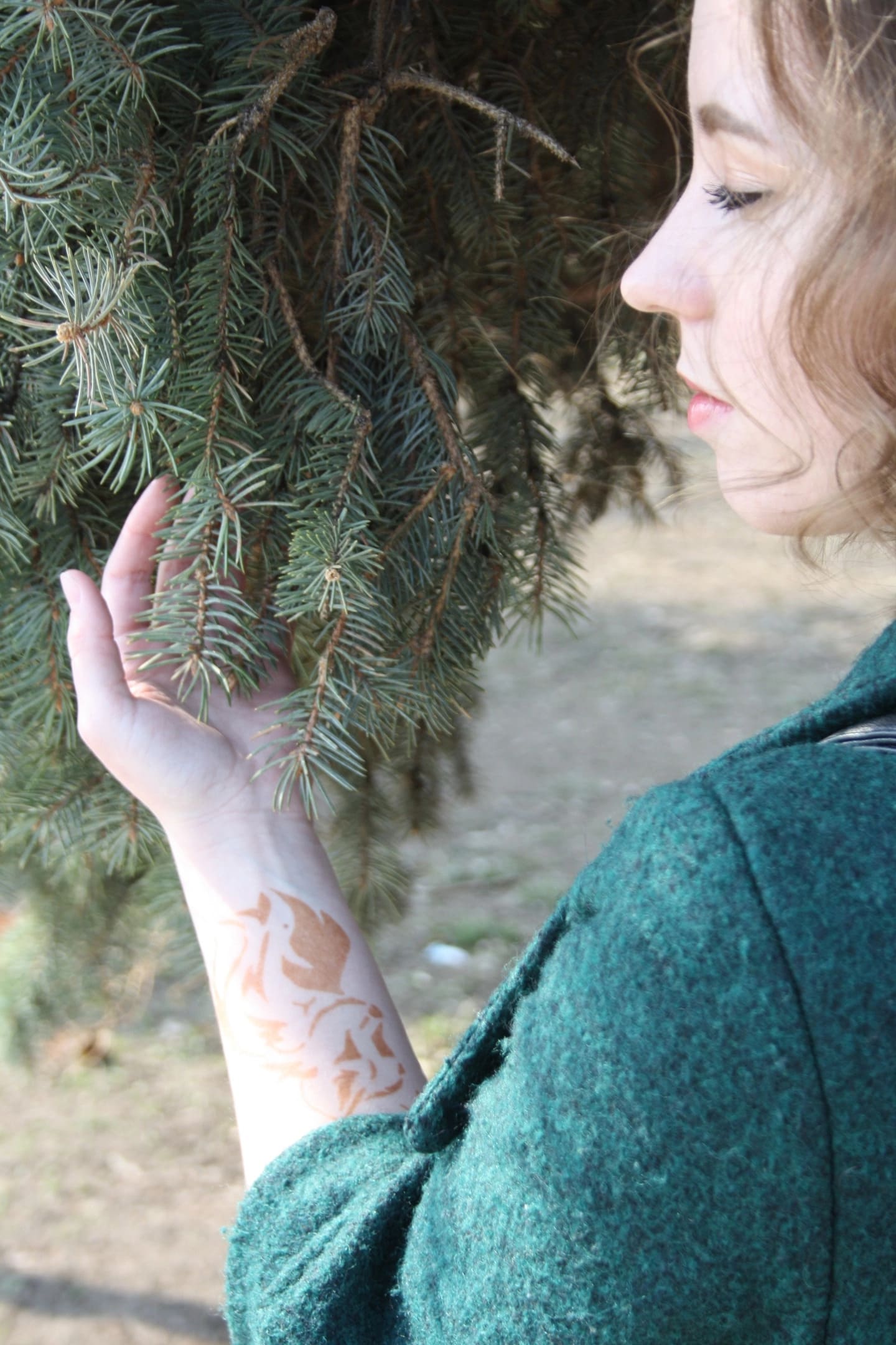 �������� ������