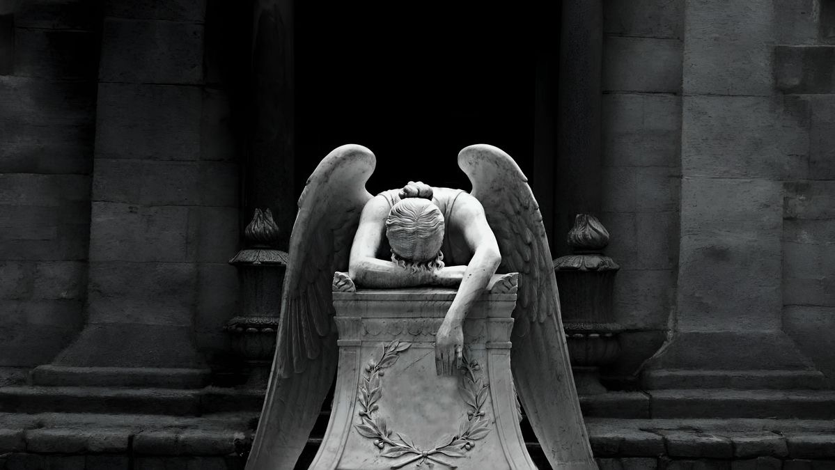 ���� ����