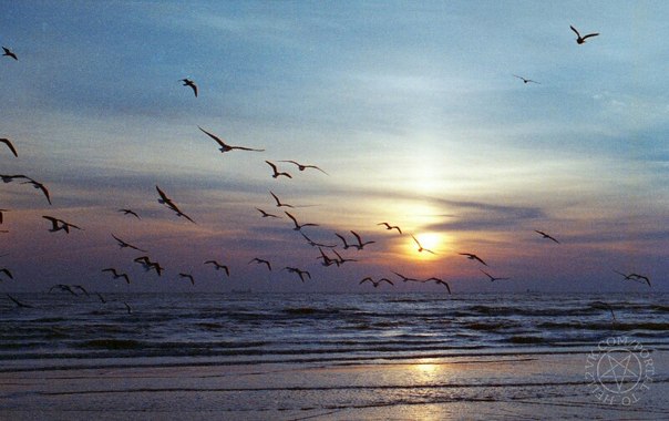 Смирнова Мария Ильинична