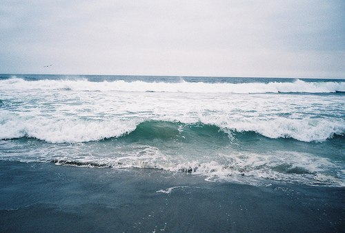 �������� �������