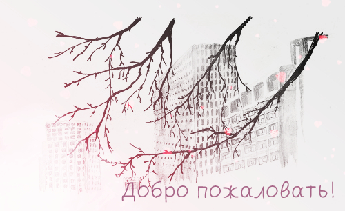 ���� ����