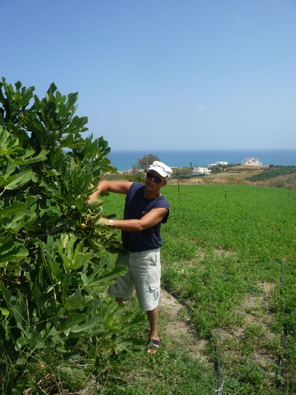 ��������� ���������