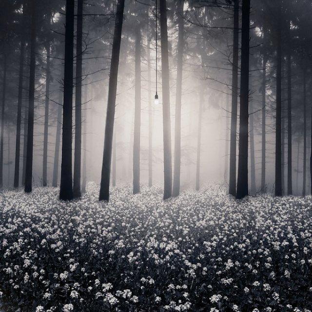 Ксения Китм