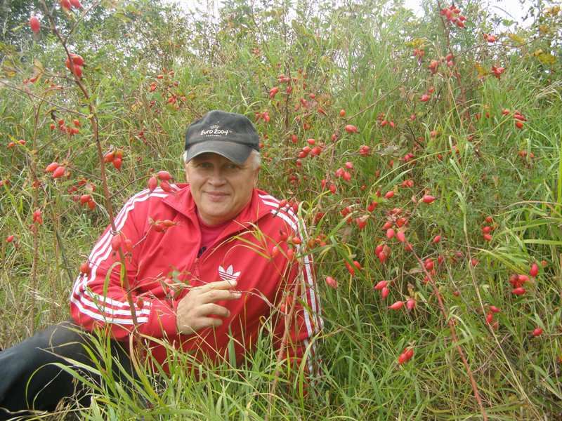 ������� �������