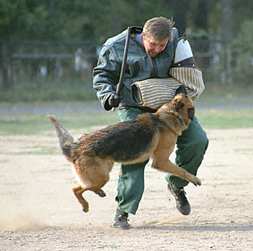 �������� ������