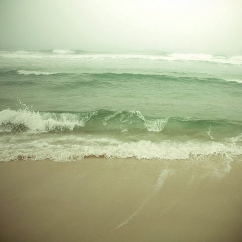 ������� ������������