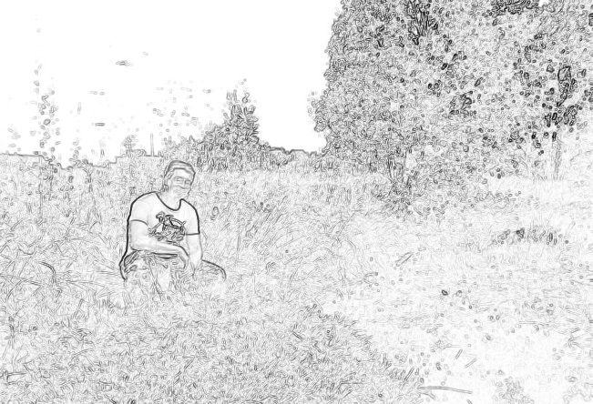 ������ �������� 2