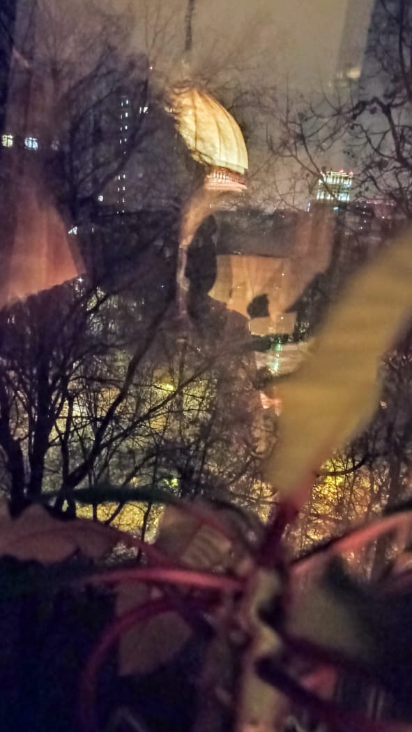 ����-������ ���������