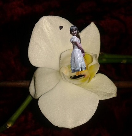 Абу Гафар Шахрибани