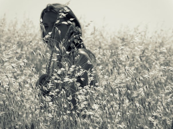 ��������� �������