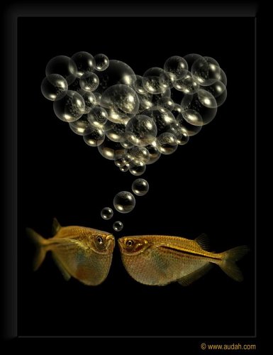 Ада Майская